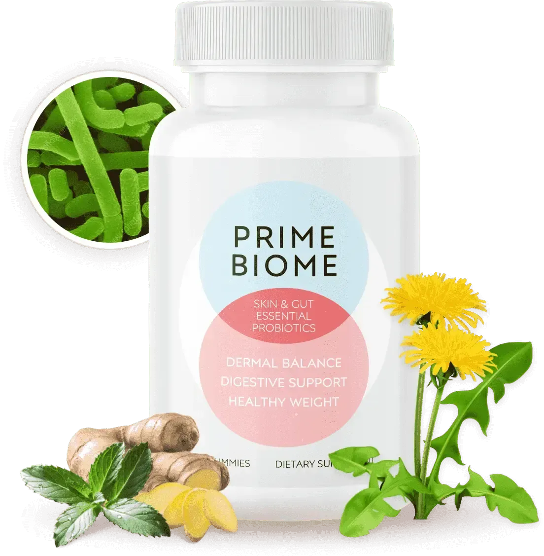 primebiome-supplement